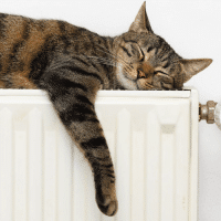 New-boiler-upgrades-available New Boiler grants are available for those who qualify